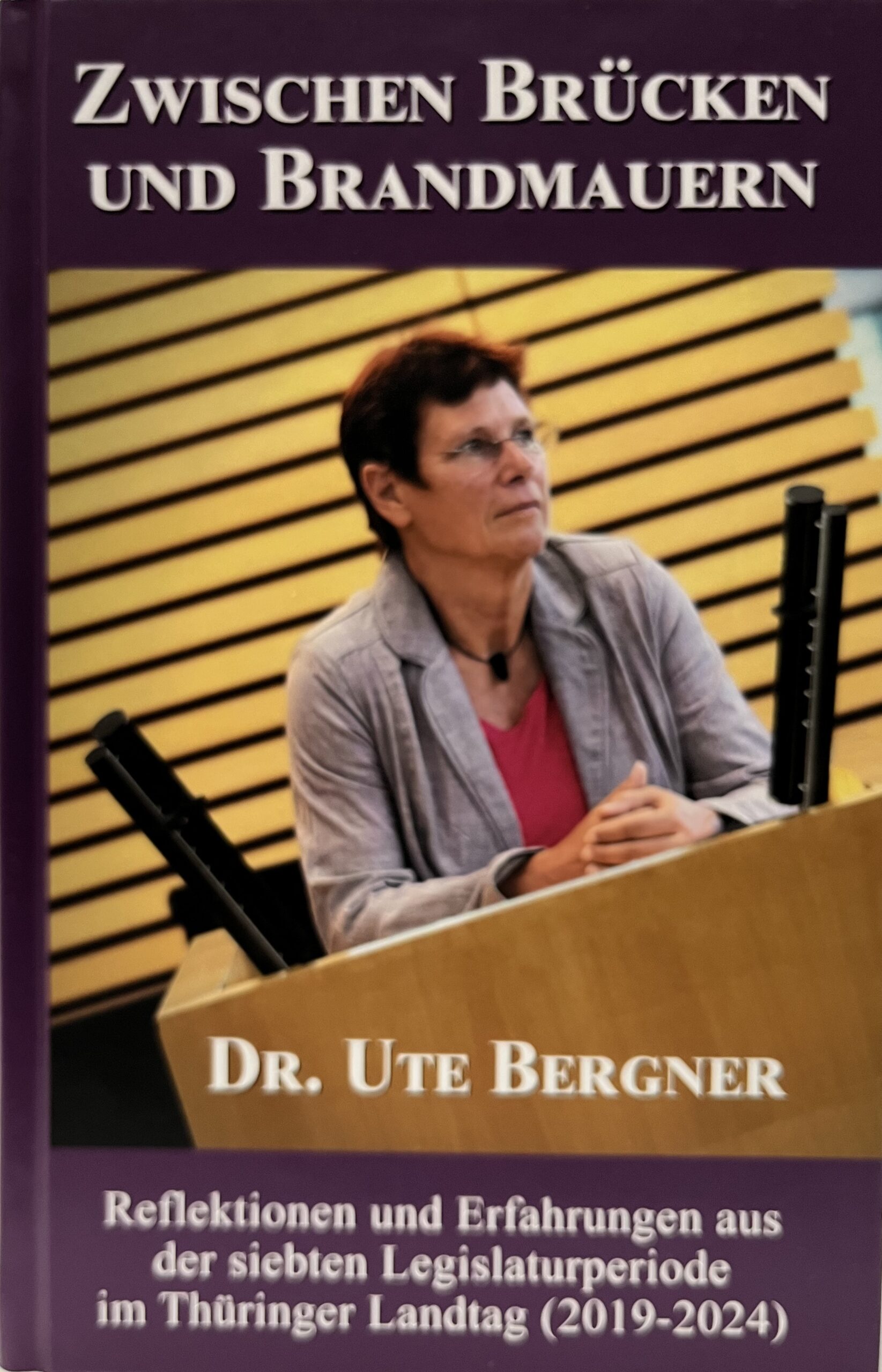 Zwischen Brücken und Brandmauern 1 Zwischen Brücken und Brandmauern